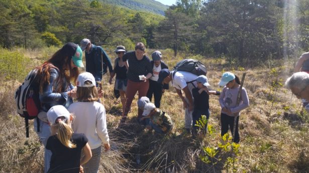 IMG_20260425_115406791 (FILEminimizer)