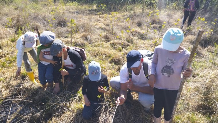 IMG_20260425_115602530 (FILEminimizer)