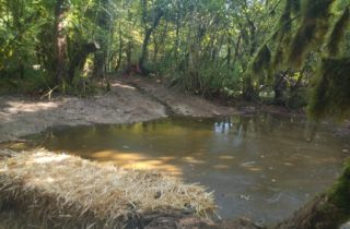 26-09-28_TVX_bassin retention (1)