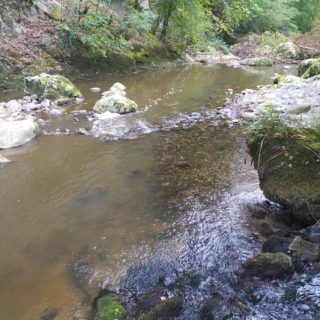 IMG_20260924_133552194